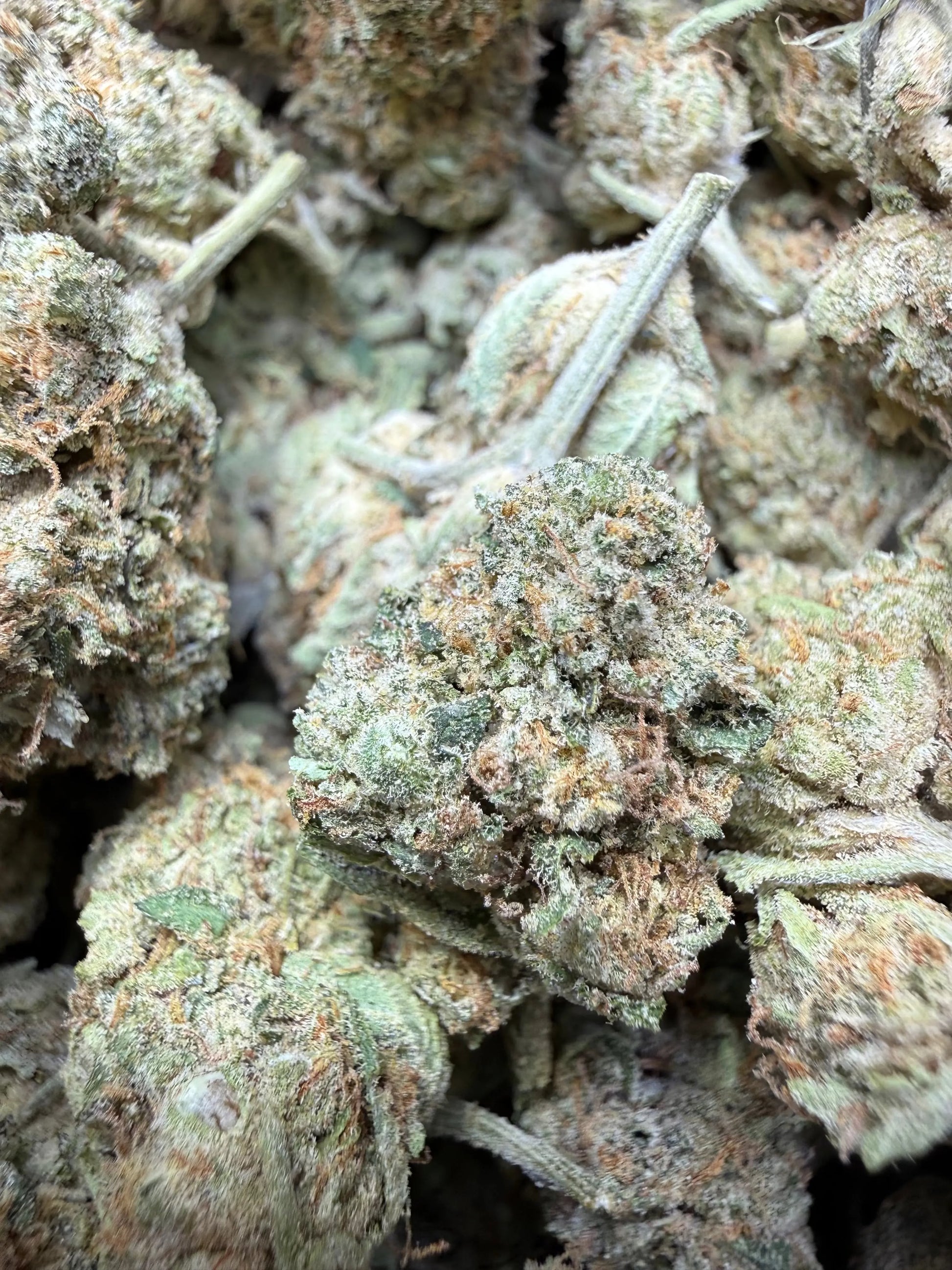 1 Pound Bubble Yum THCA FL Fulfillment Center