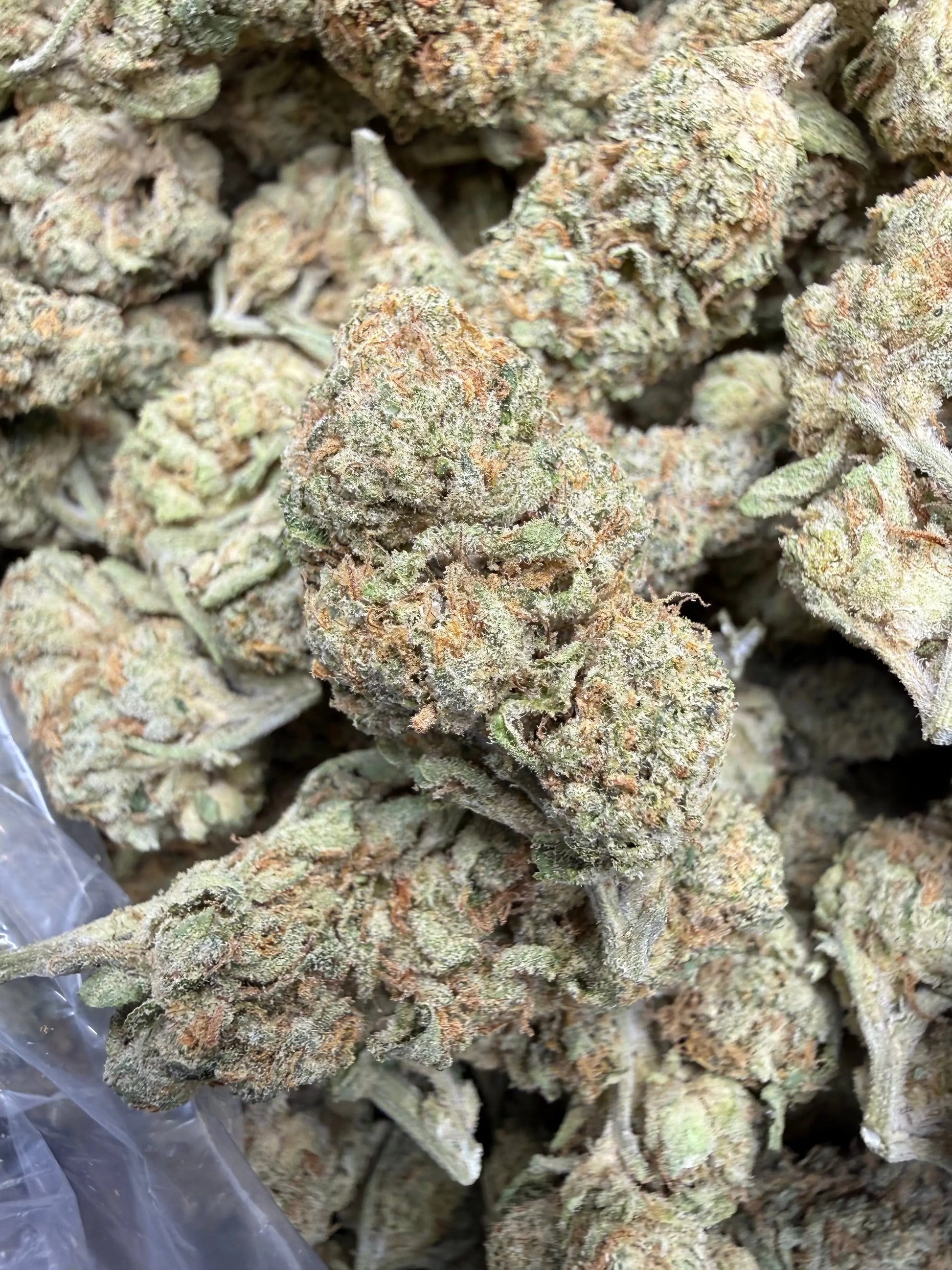 1 Pound Bubble Yum THCA FL Fulfillment Center