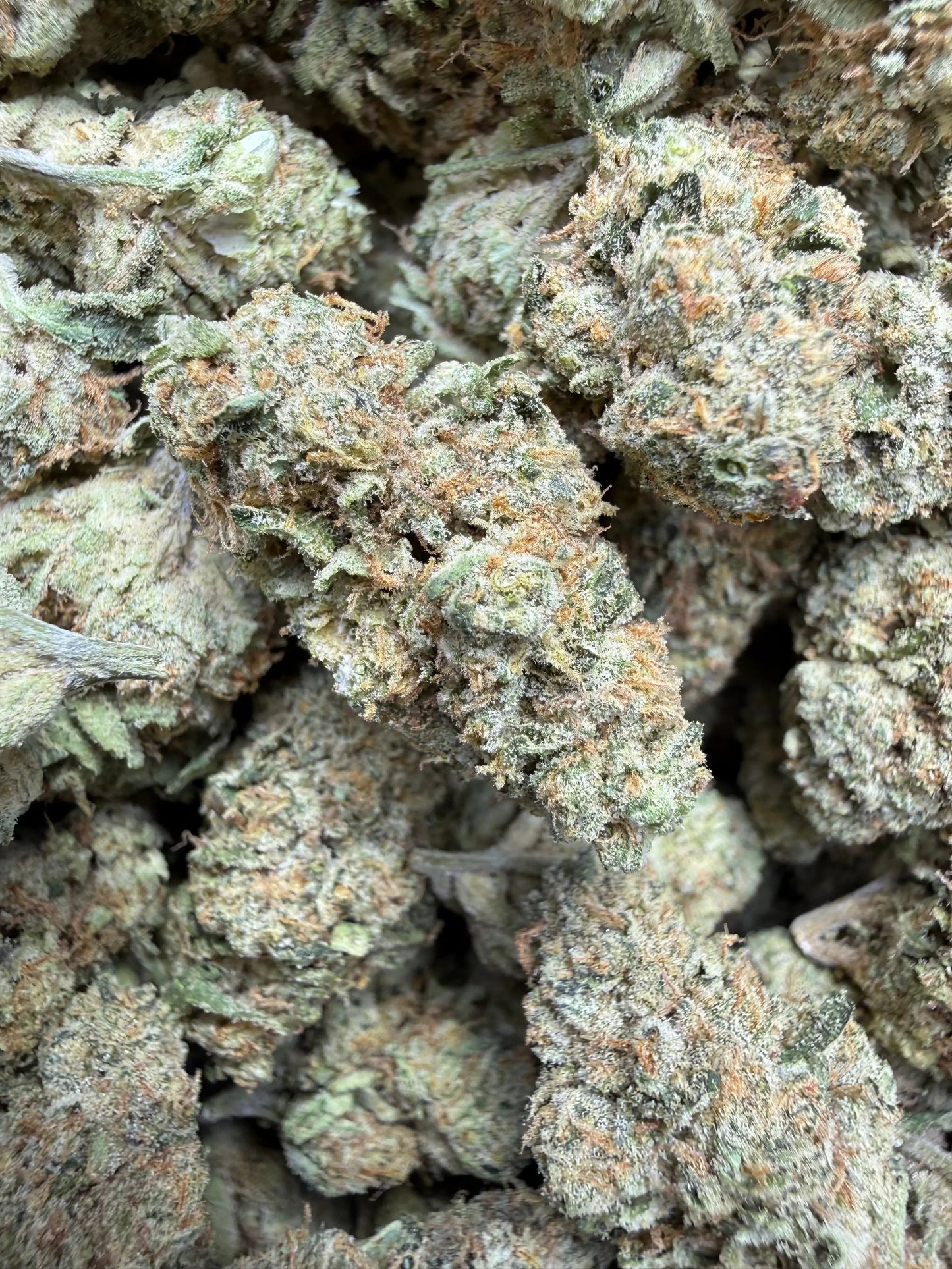 1 Pound Bubble Yum THCA FL Fulfillment Center