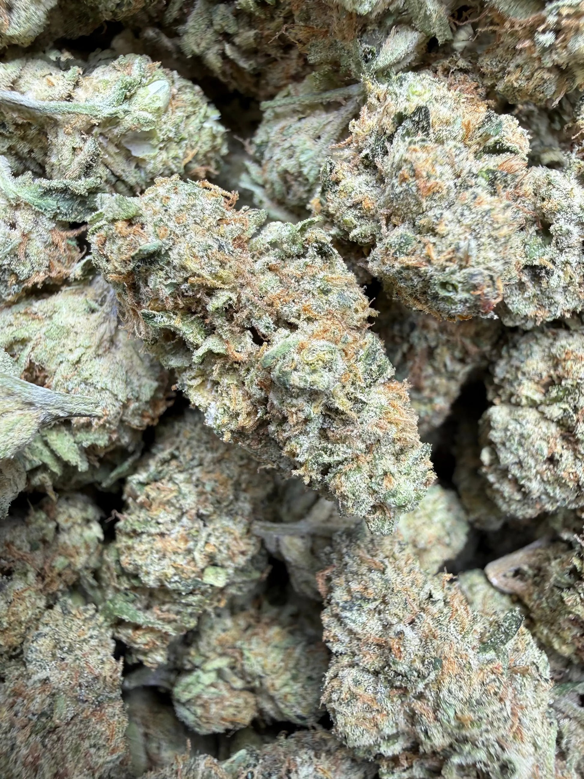 1 Pound Bubble Yum THCA FL Fulfillment Center