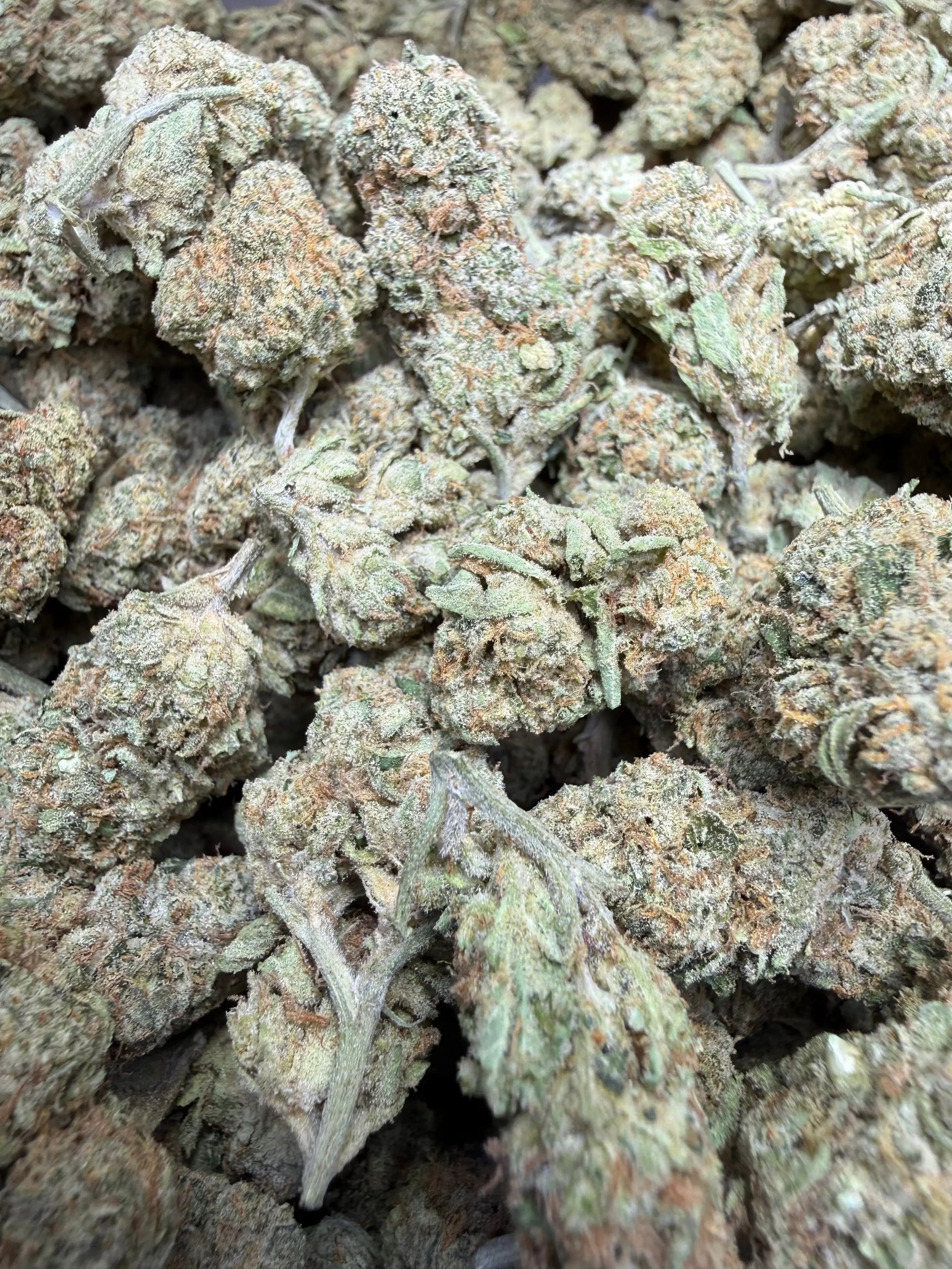 1 Pound Bubble Yum THCA FL Fulfillment Center