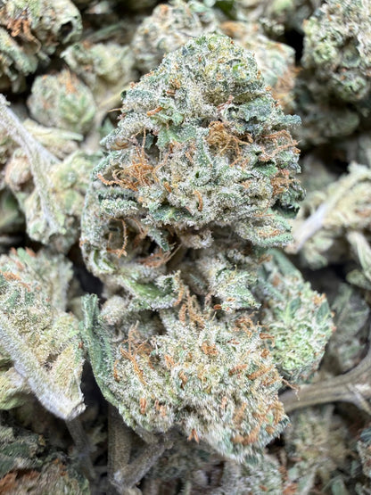 1 Pound - Cali Cartel THCA Strain Frisco Labs