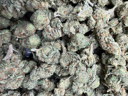 1 Pound - Cali Cartel THCA Strain Frisco Labs