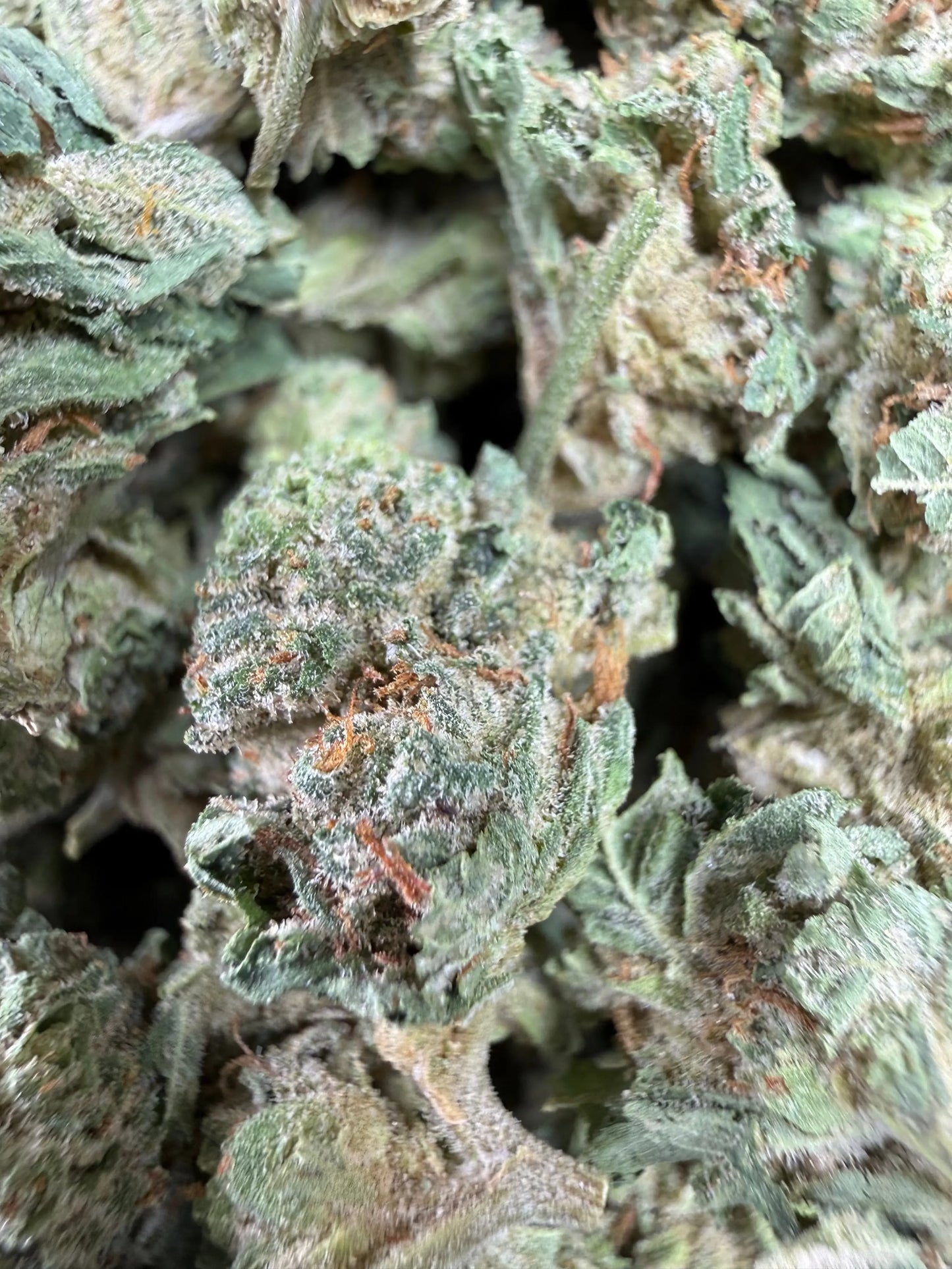 1 Pound - Cali Cartel THCA Strain (Smalls) Frisco Labs