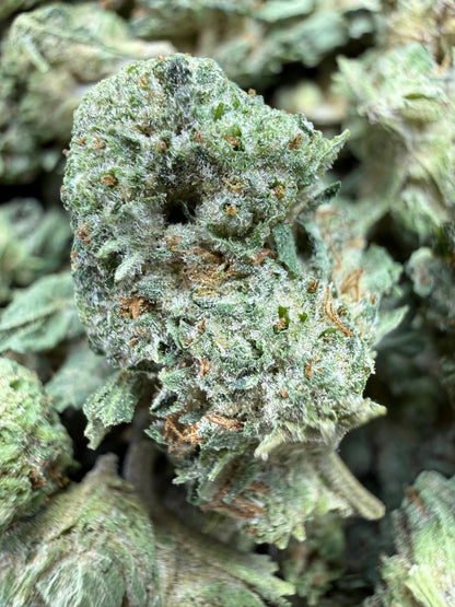 1 Pound - Cali Cartel THCA Strain (Smalls) Frisco Labs