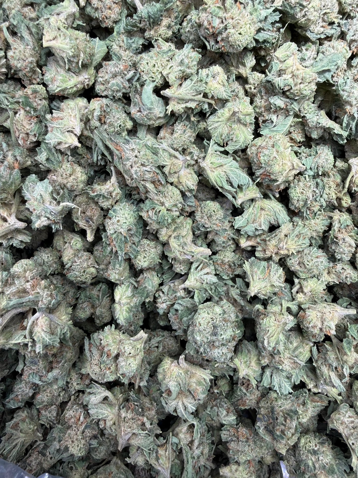 1 Pound - Cali Cartel THCA Strain (Smalls) Frisco Labs