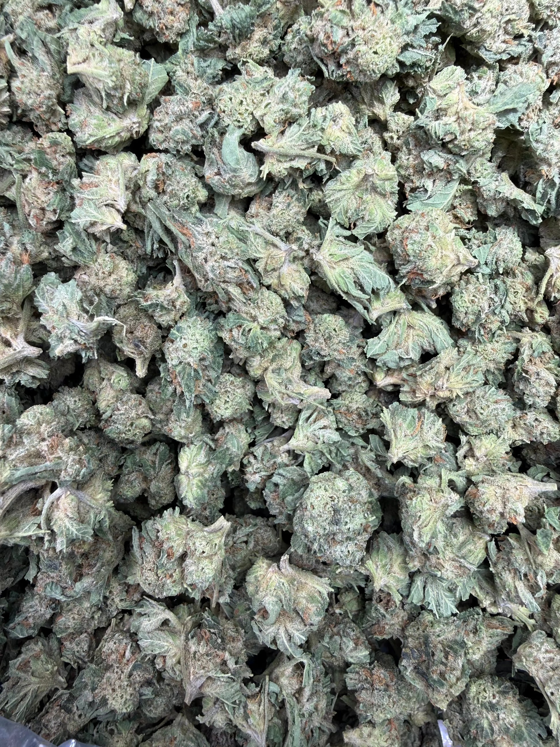 1 Pound - Cali Cartel THCA Strain (Smalls) Frisco Labs