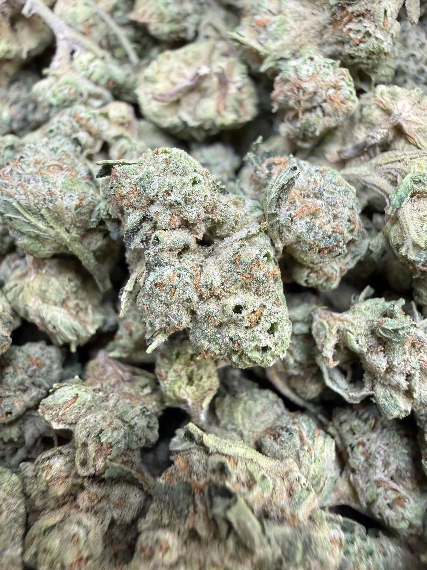 1 Pound - Carbon Fiber THCA Strain Small Frisco Labs