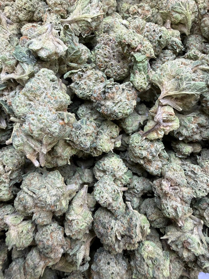 1 Pound - Carbon Fiber THCA Strain Small Frisco Labs