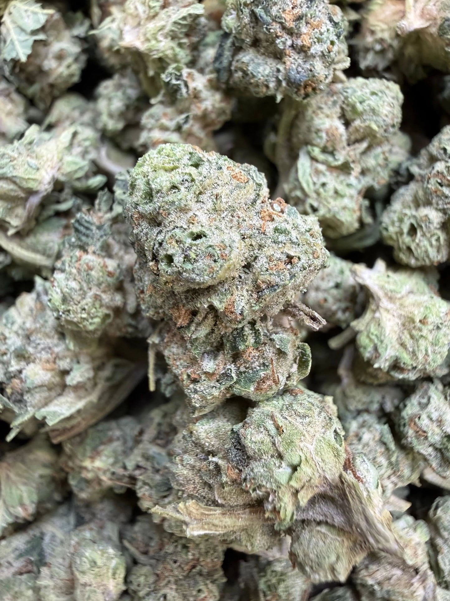 1 Pound - Carbon Fiber THCA Strain Small Frisco Labs