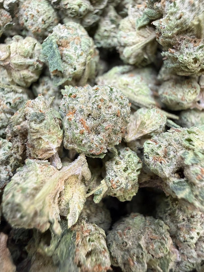 1 Pound - Carbon Fiber THCA Strain Small Frisco Labs