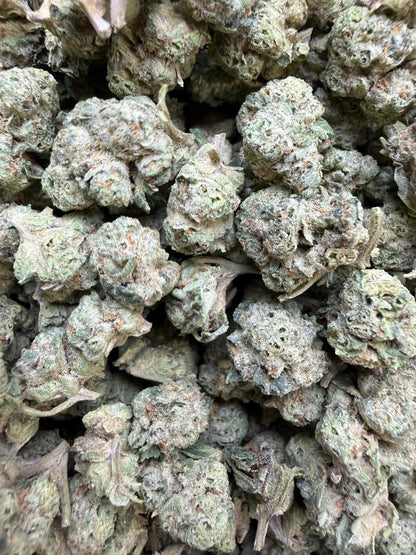 1 Pound - Carbon Fiber THCA Strain Small Frisco Labs