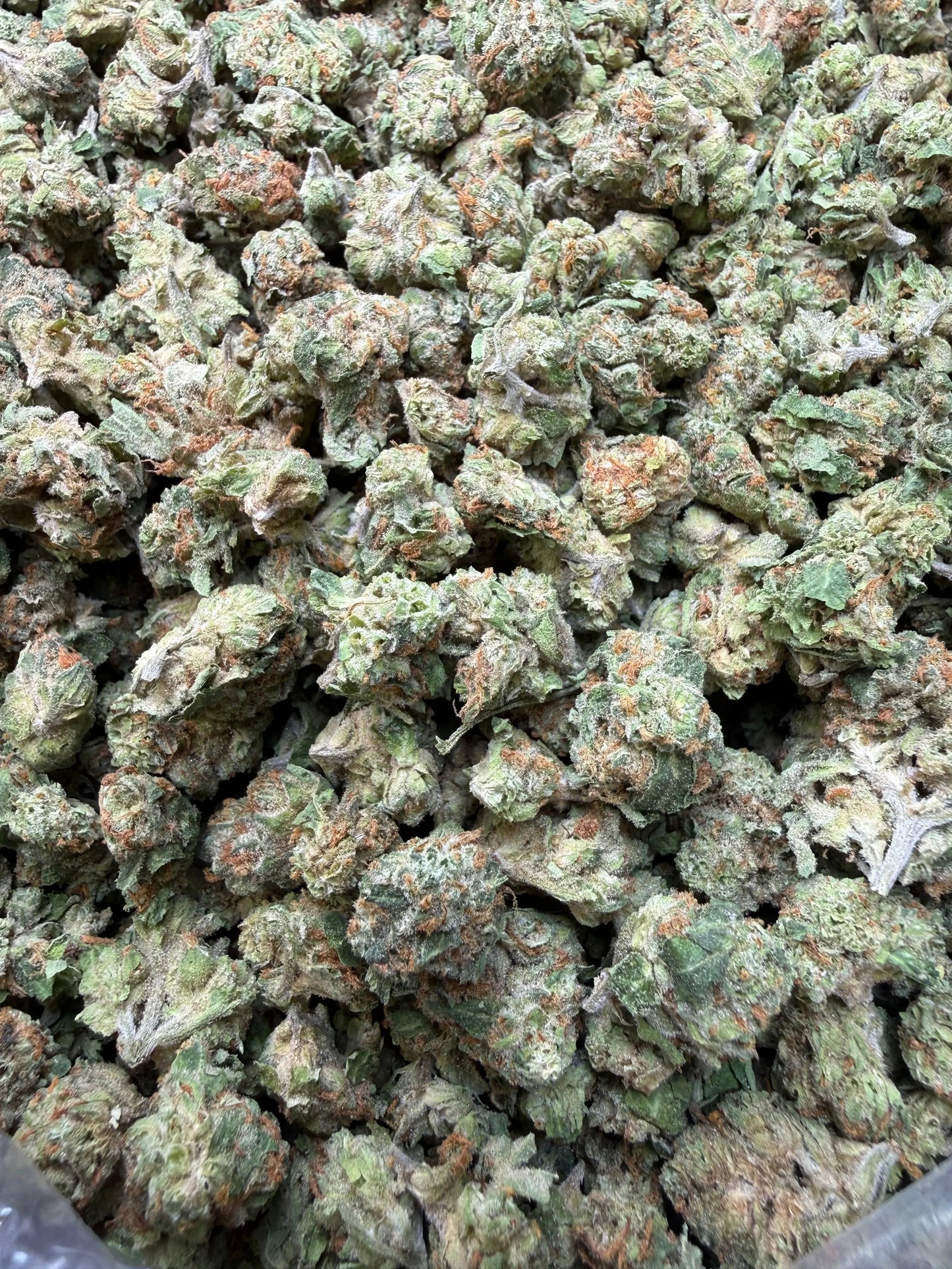 1 Pound -  Cereal Milk THCA Strain Frisco Labs