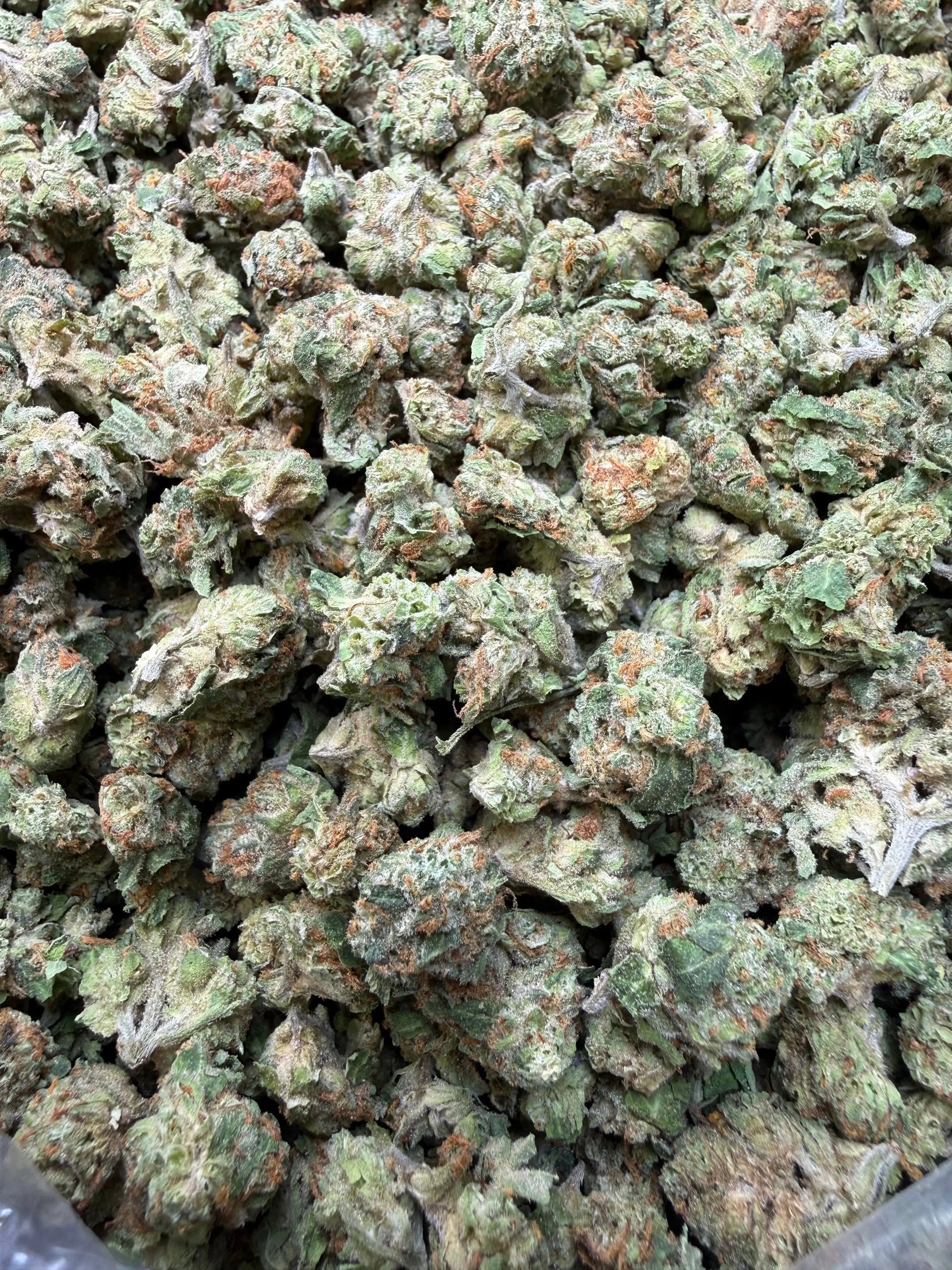 1 Pound -  Cereal Milk THCA Strain Frisco Labs