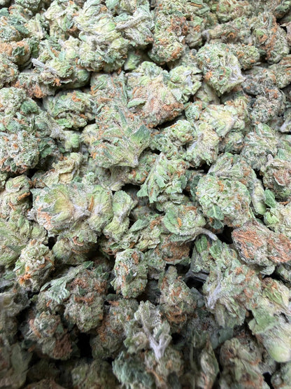 1 Pound -  Cereal Milk THCA Strain Frisco Labs