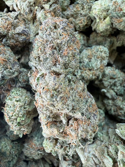 1 Pound -  Cereal Milk THCA Strain Frisco Labs