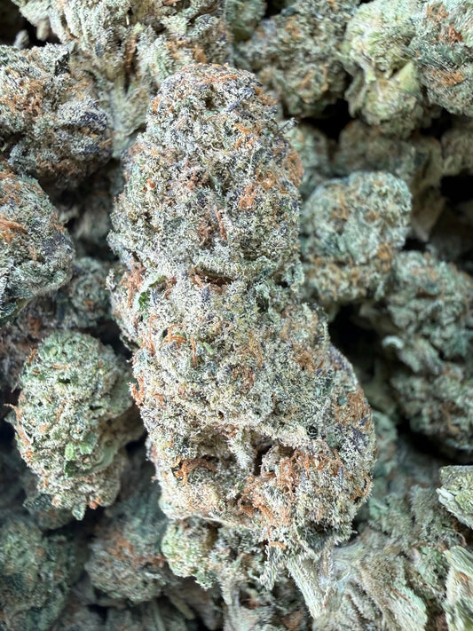 1 Pound -  Cereal Milk THCA Strain Frisco Labs