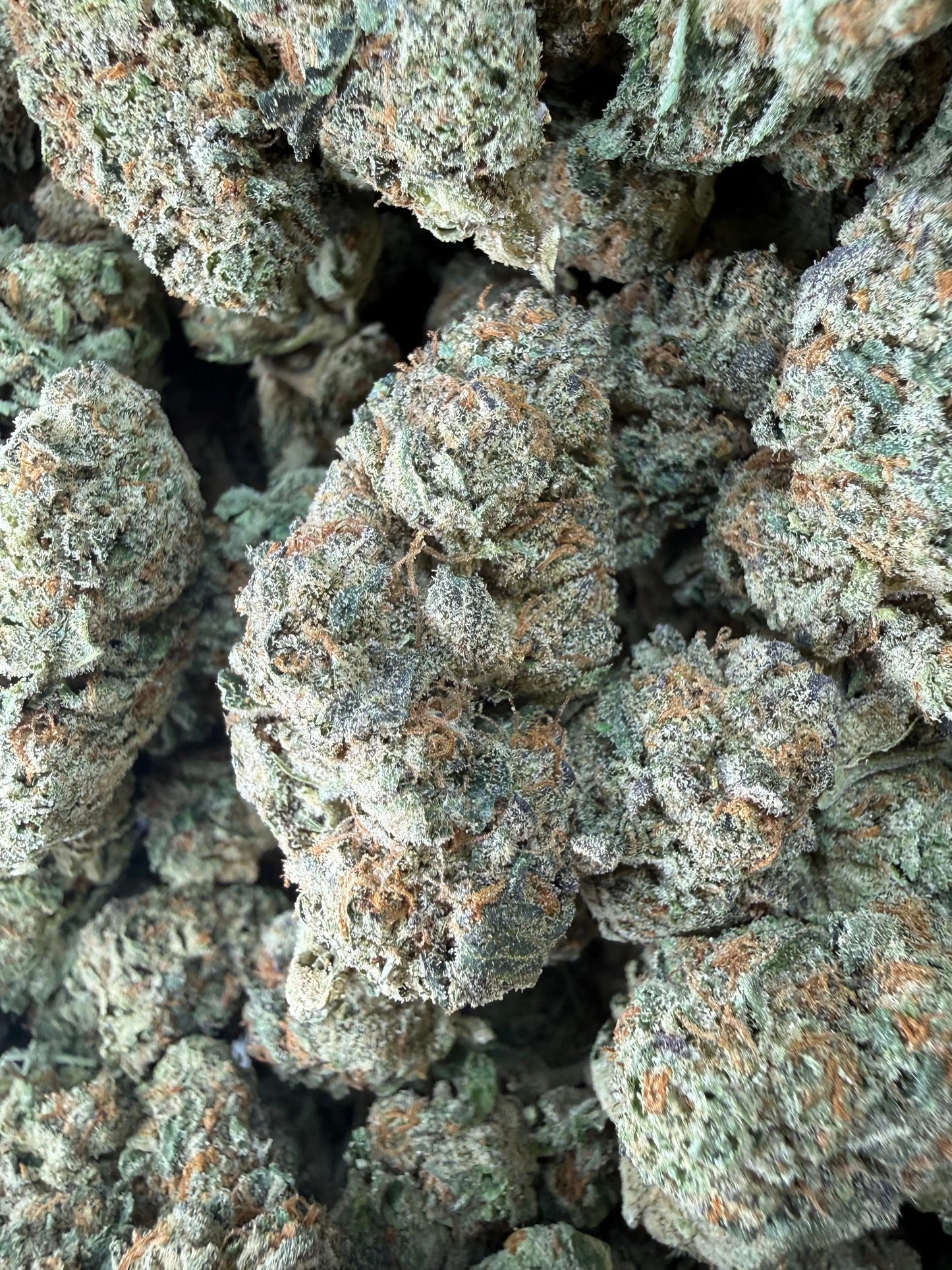 1 Pound -  Cereal Milk THCA Strain Frisco Labs