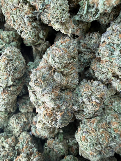 1 Pound -  Cereal Milk THCA Strain Frisco Labs