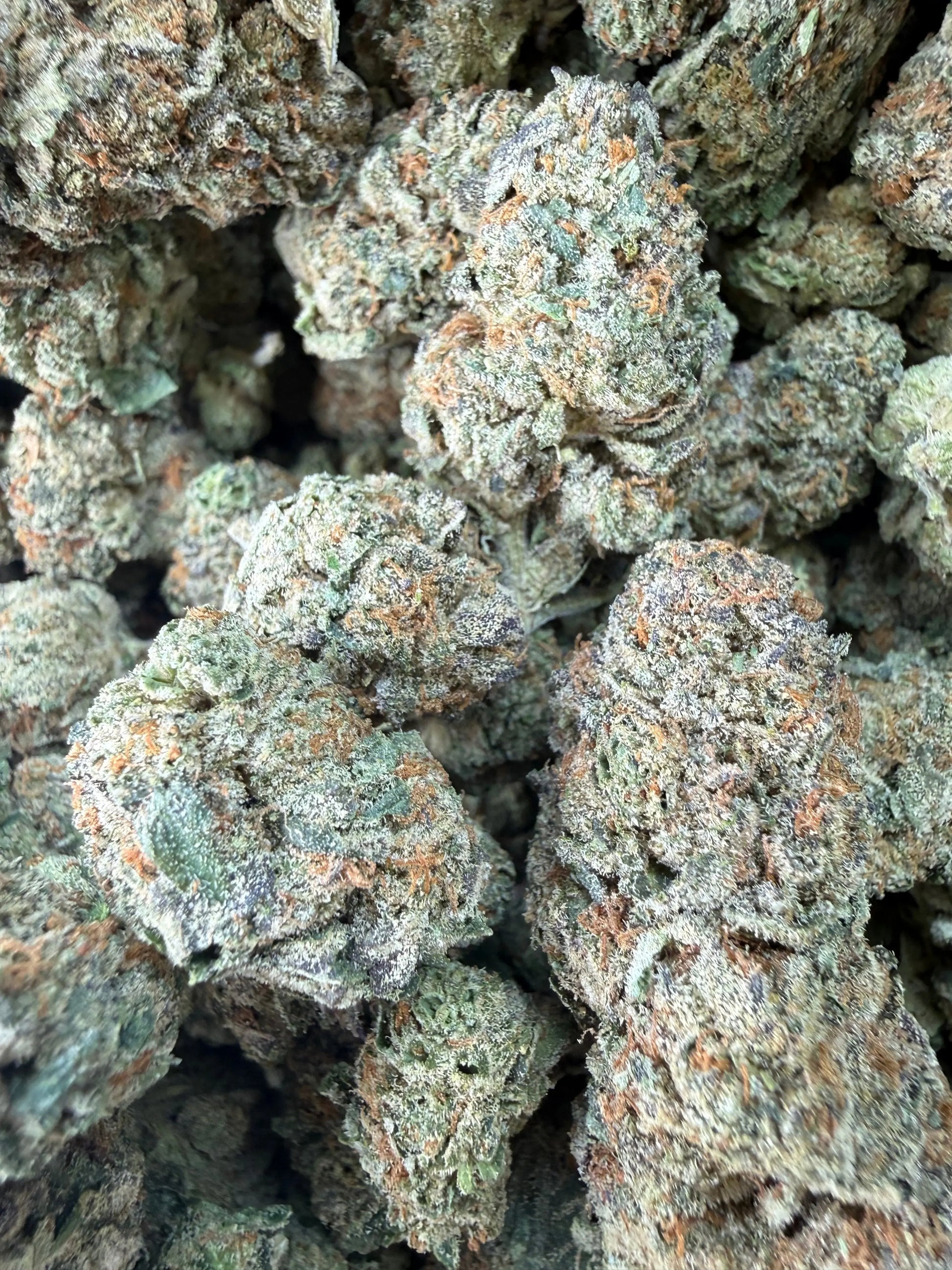 1 Pound -  Cereal Milk THCA Strain Frisco Labs