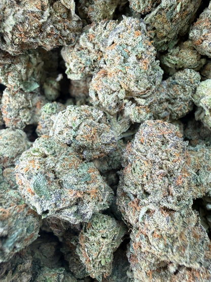 1 Pound -  Cereal Milk THCA Strain Frisco Labs