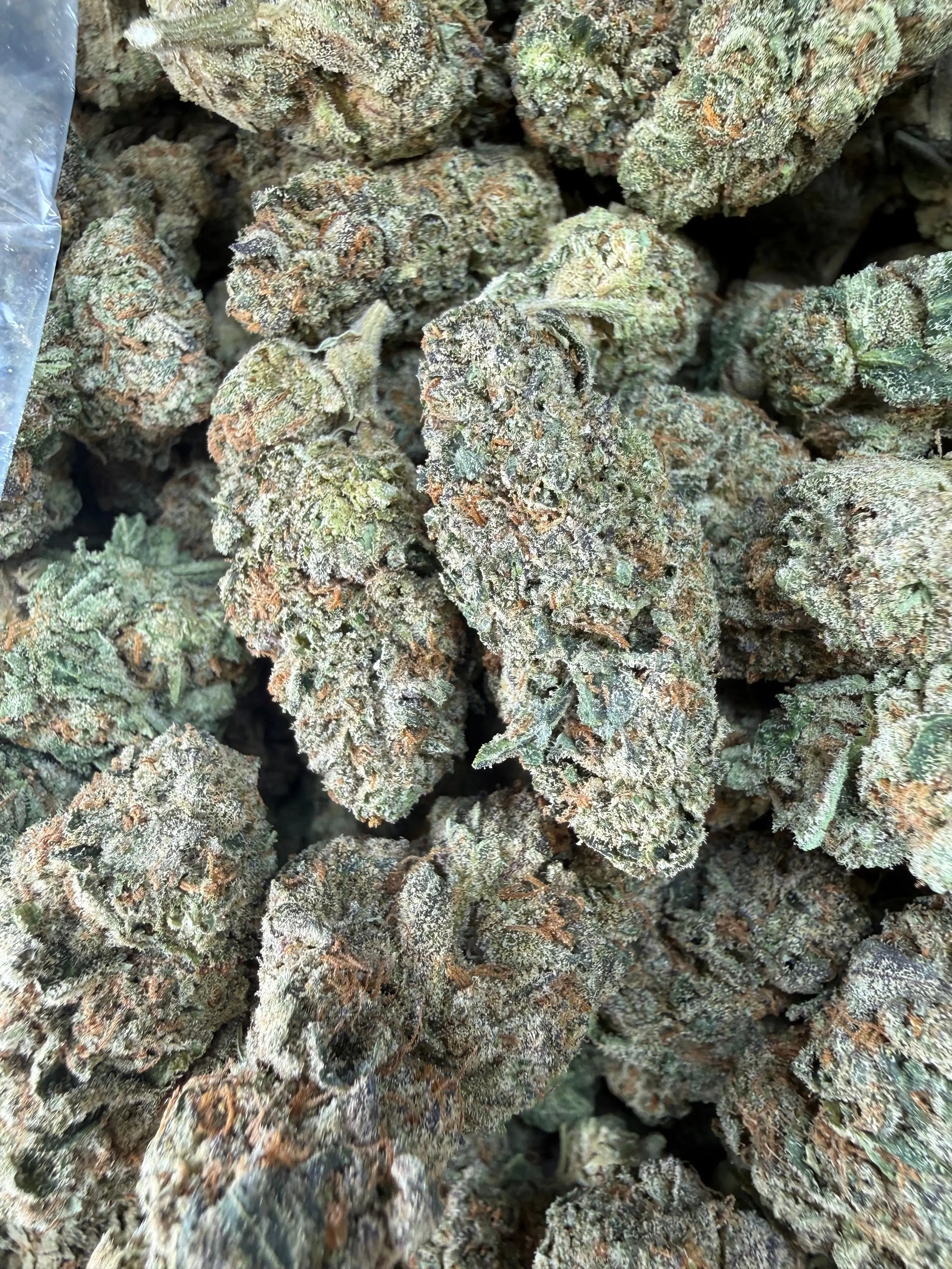 1 Pound -  Cereal Milk THCA Strain Frisco Labs