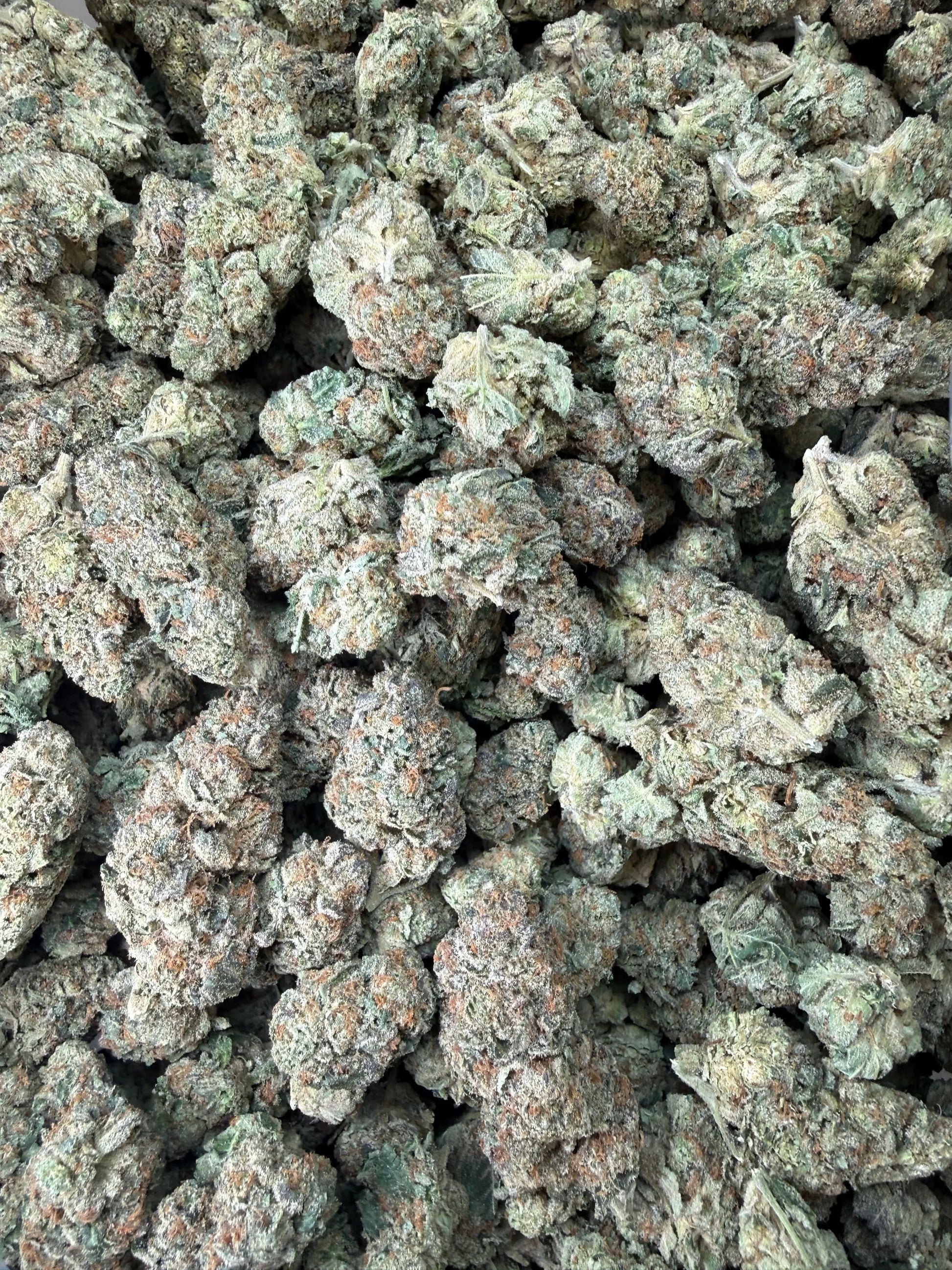 1 Pound -  Cereal Milk THCA Strain Frisco Labs