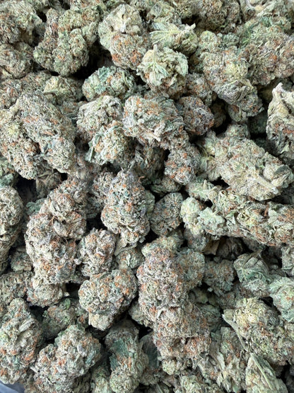 1 Pound -  Cereal Milk THCA Strain Frisco Labs