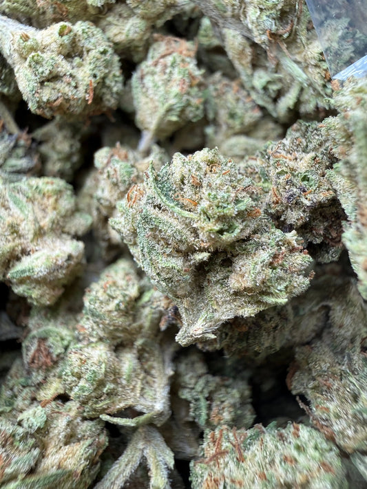 1 Pound -  Cereal Milk THCA Strain (Small) Frisco Labs