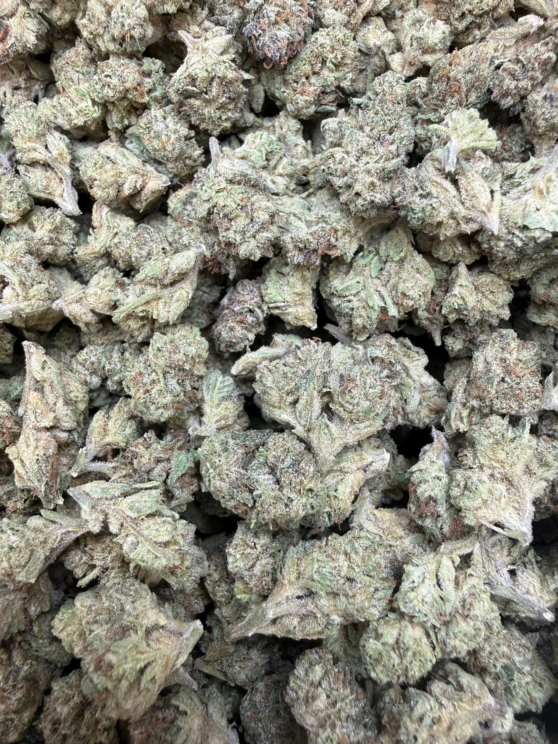 1 Pound -  Cereal Milk THCA Strain (Small) Frisco Labs