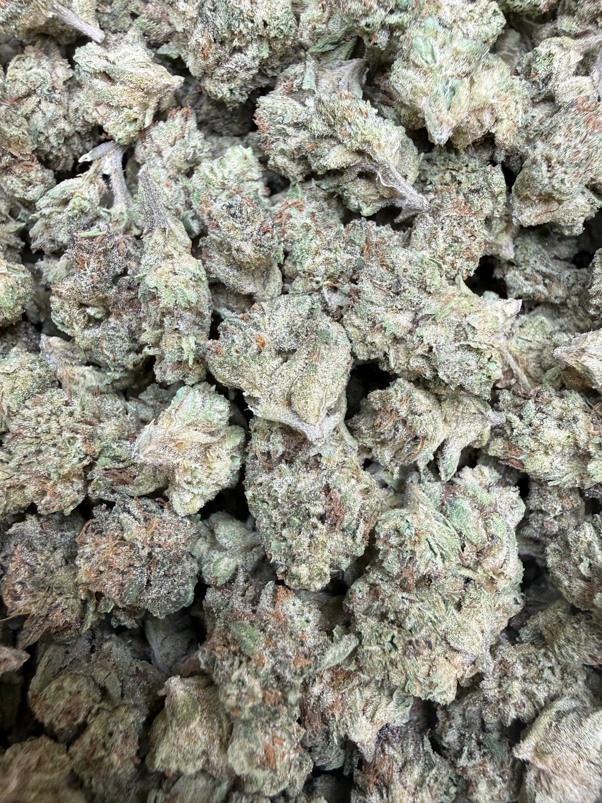 1 Pound -  Cereal Milk THCA Strain (Small) Frisco Labs