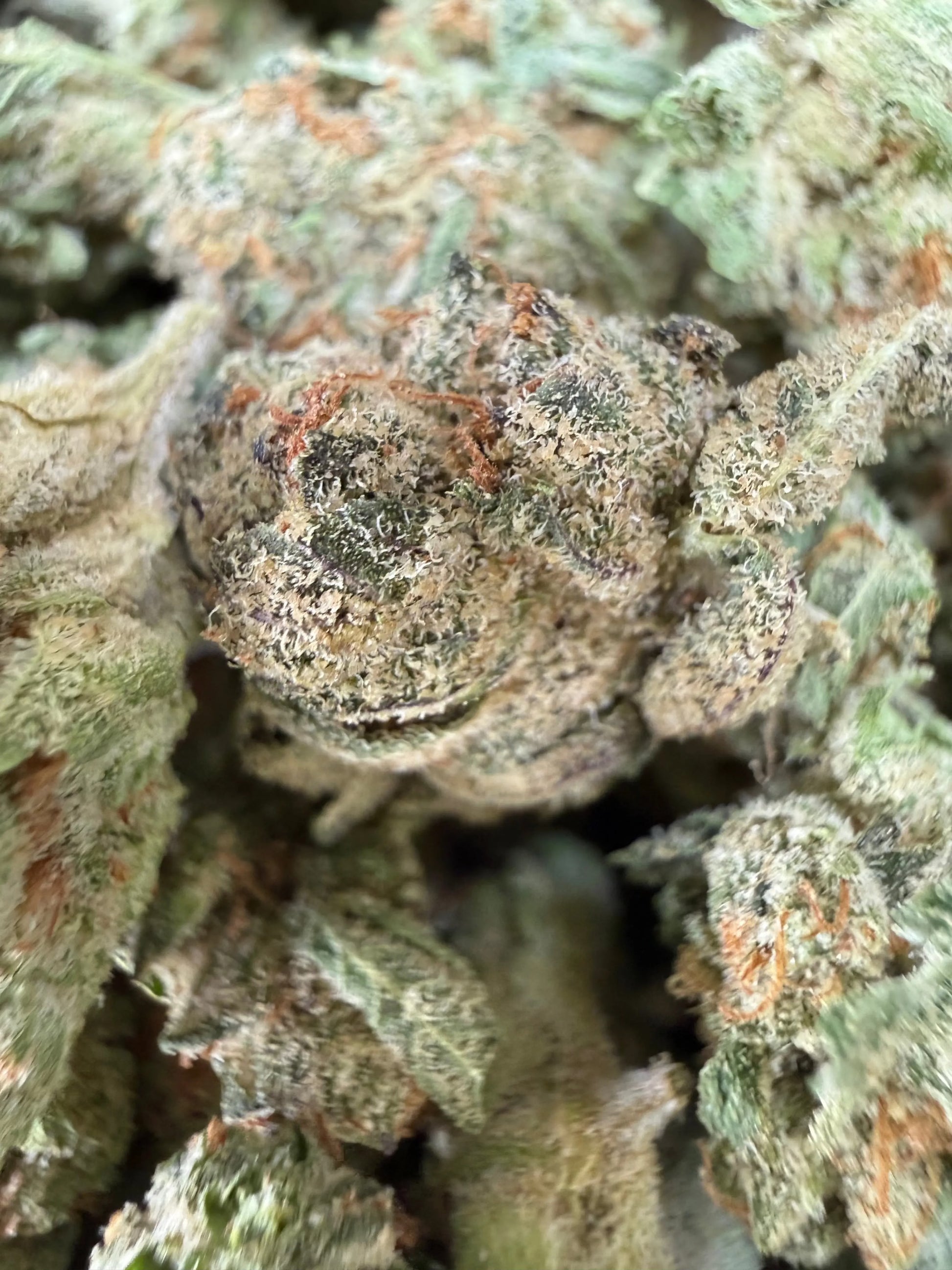 1 Pound - Cotton Candy Kush THCA Strain (Smalls) Frisco Labs