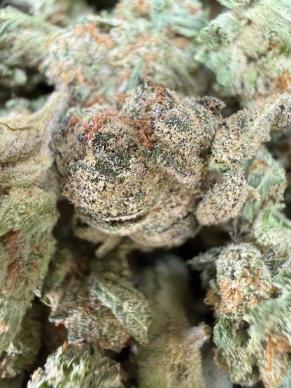 1 Pound - Cotton Candy Kush THCA Strain (Smalls) Frisco Labs