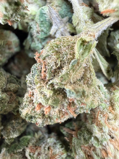 1 Pound - Cotton Candy Kush THCA Strain (Smalls) Frisco Labs