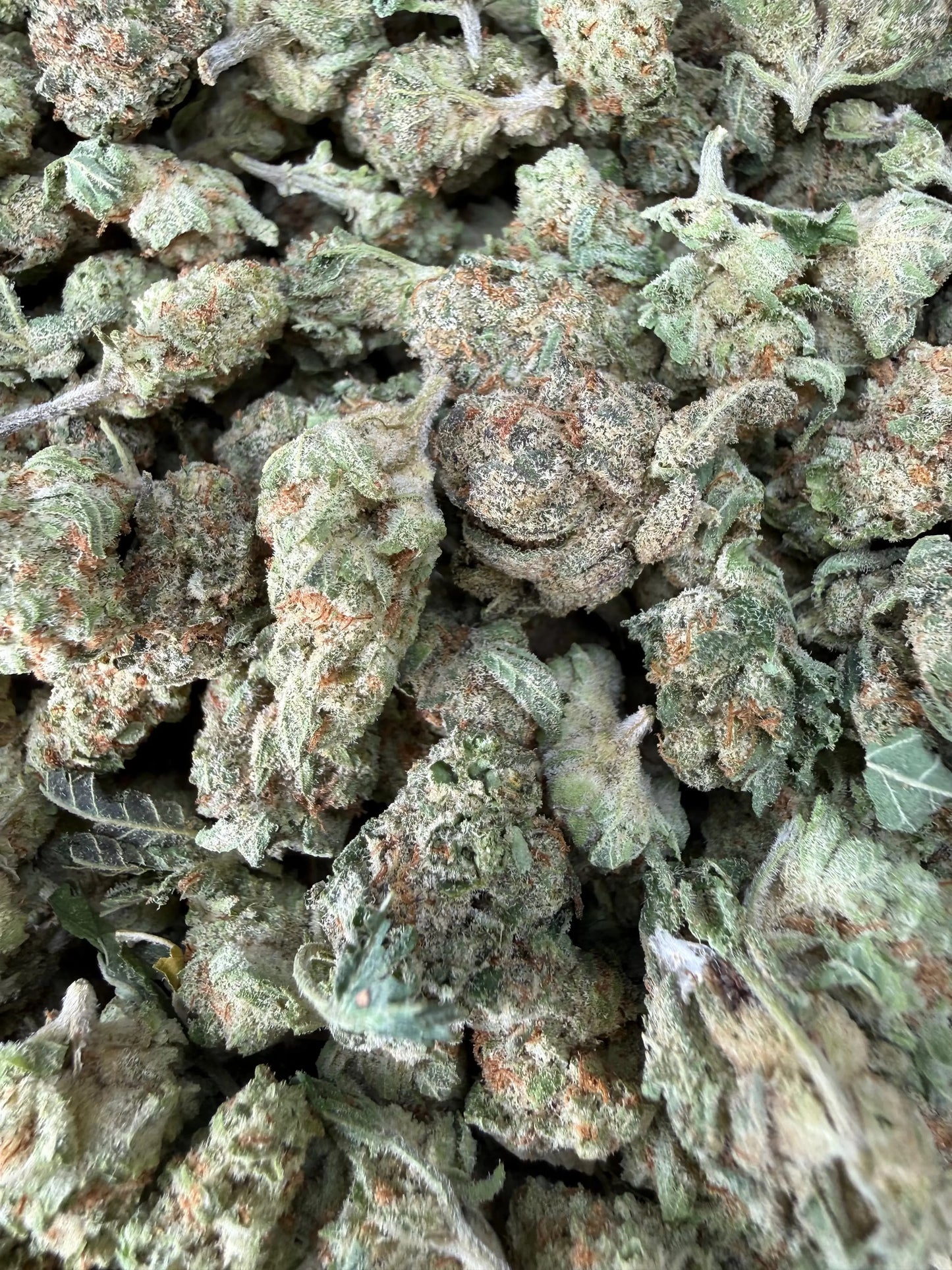 1 Pound - Cotton Candy Kush THCA Strain (Smalls) Frisco Labs