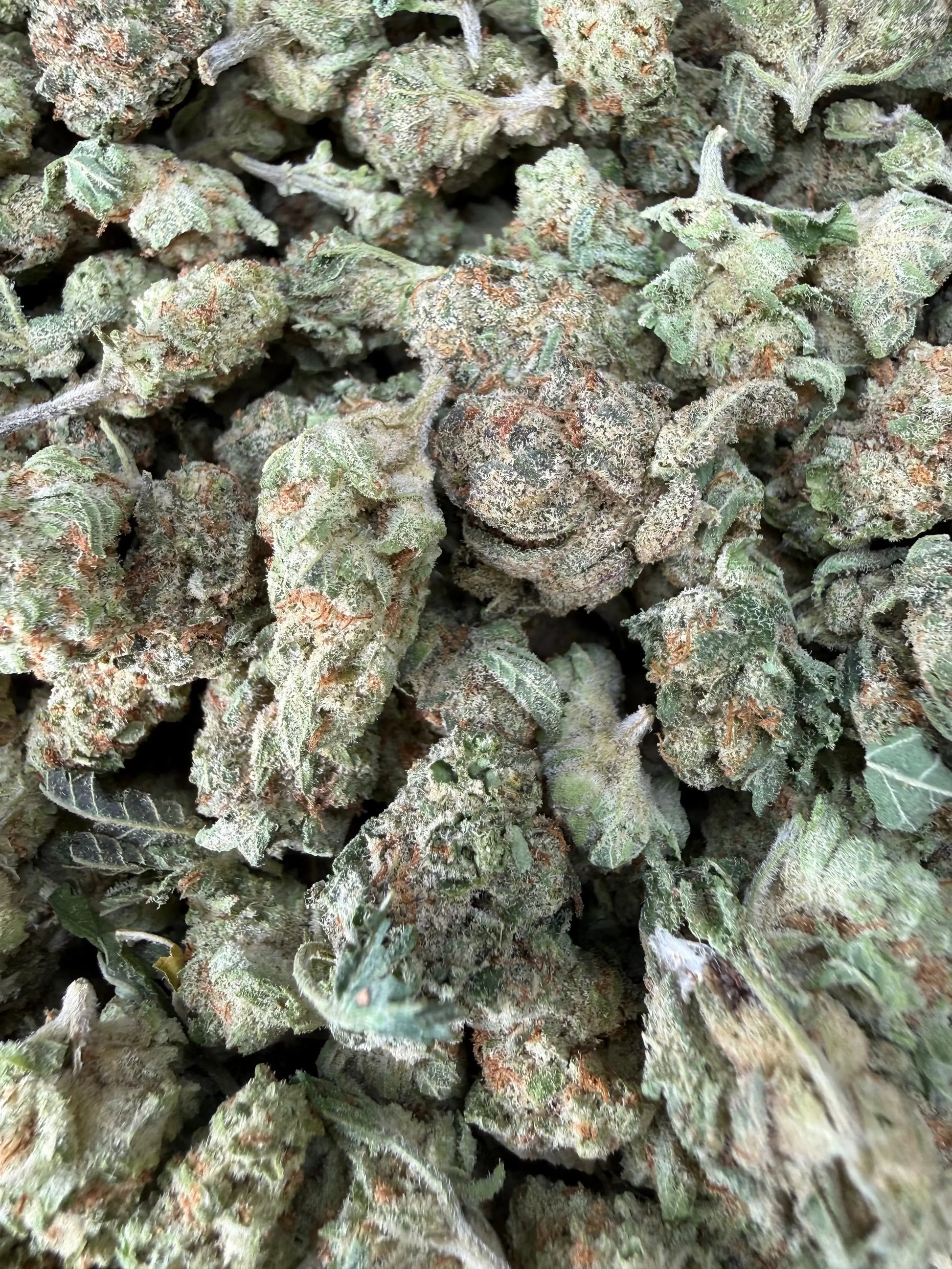 1 Pound - Cotton Candy Kush THCA Strain (Smalls) Frisco Labs