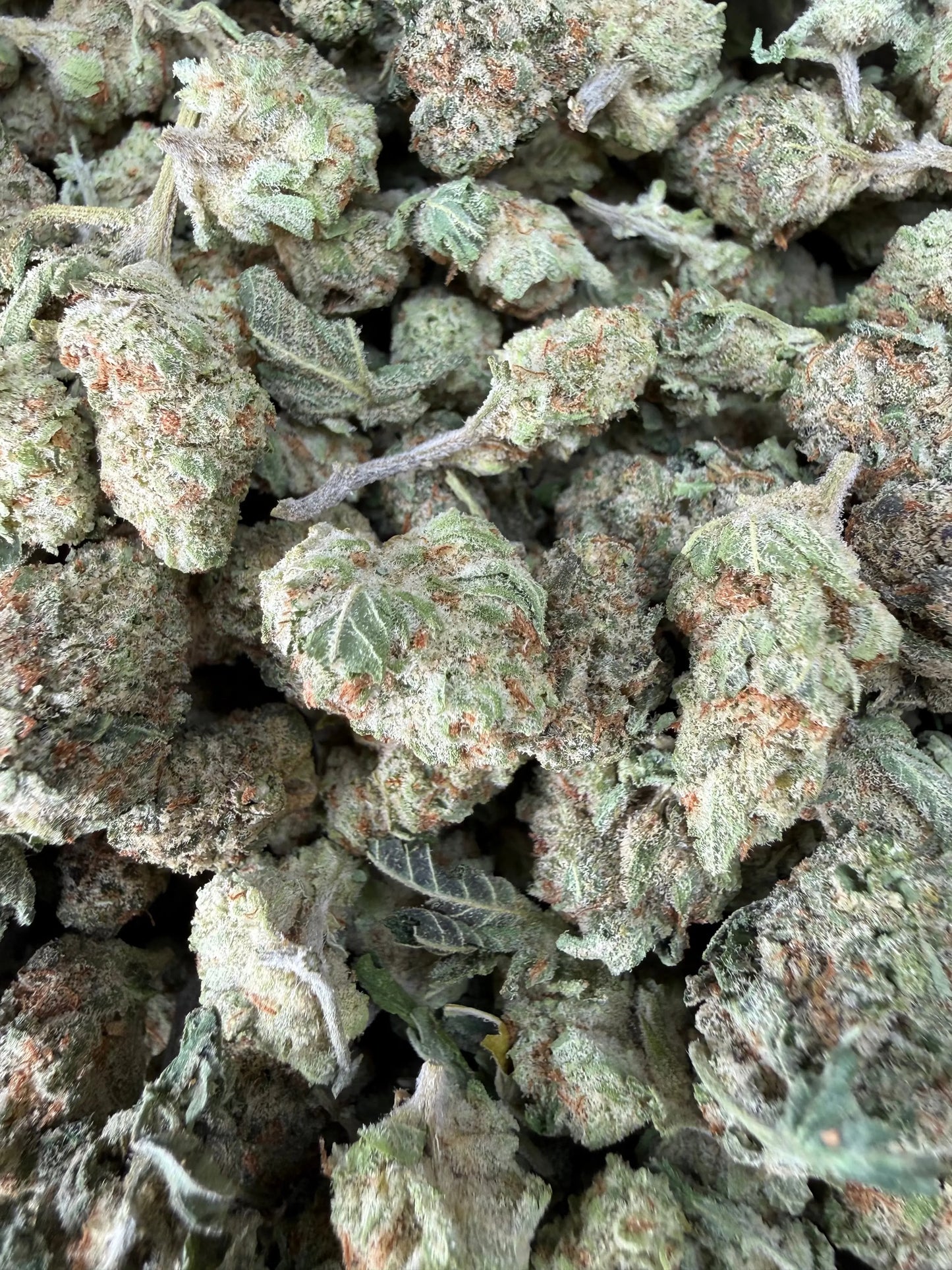 1 Pound - Cotton Candy Kush THCA Strain (Smalls) Frisco Labs