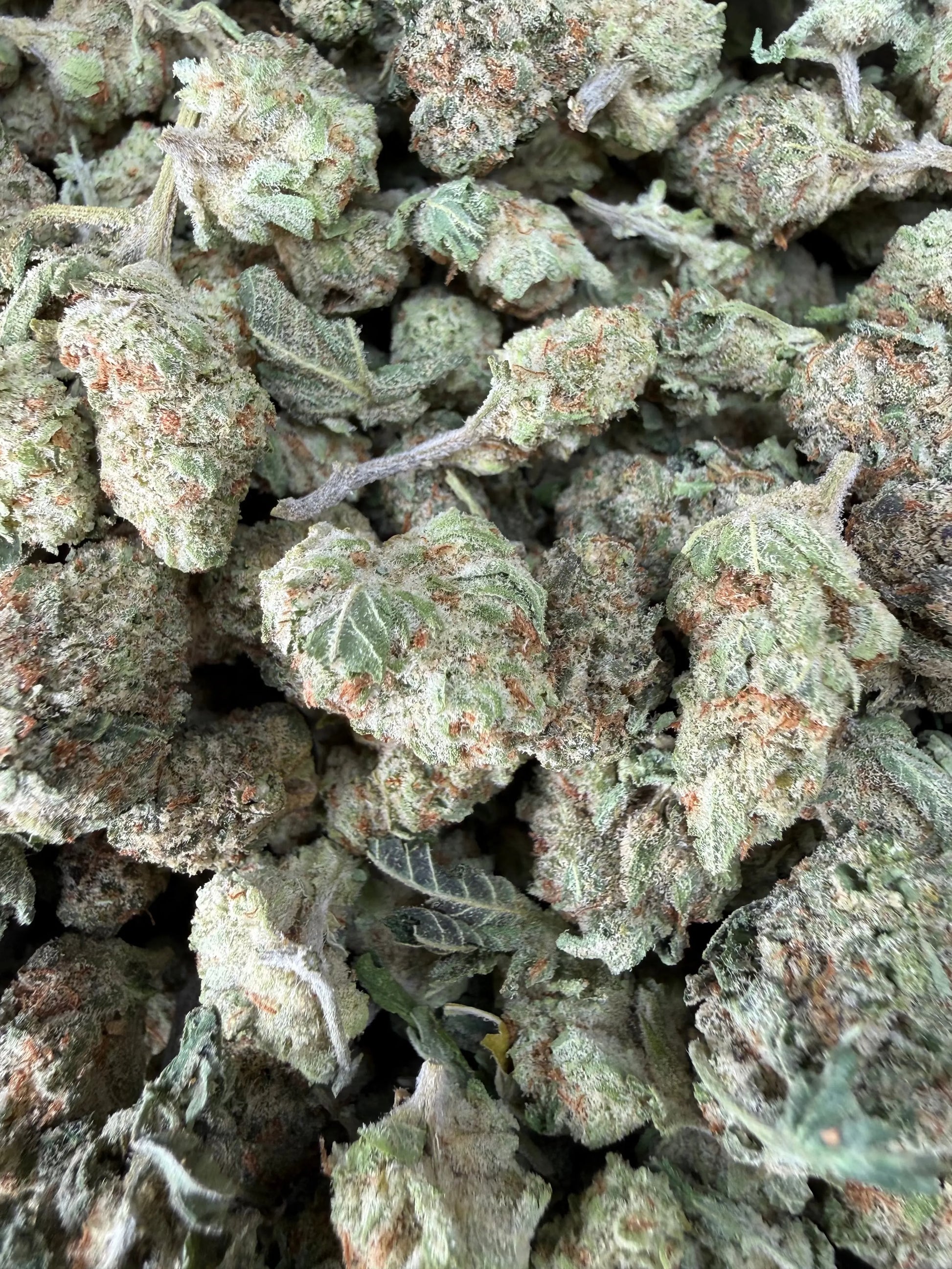 1 Pound - Cotton Candy Kush THCA Strain (Smalls) Frisco Labs