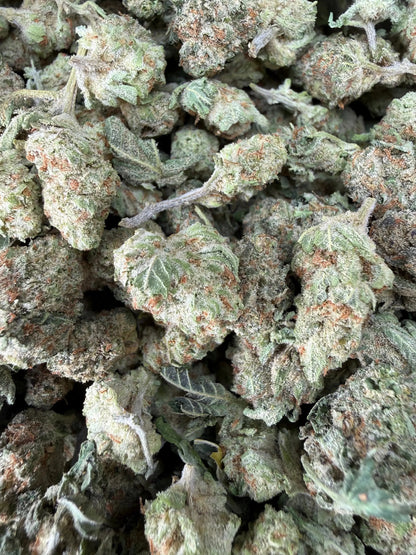 1 Pound - Cotton Candy Kush THCA Strain (Smalls) Frisco Labs