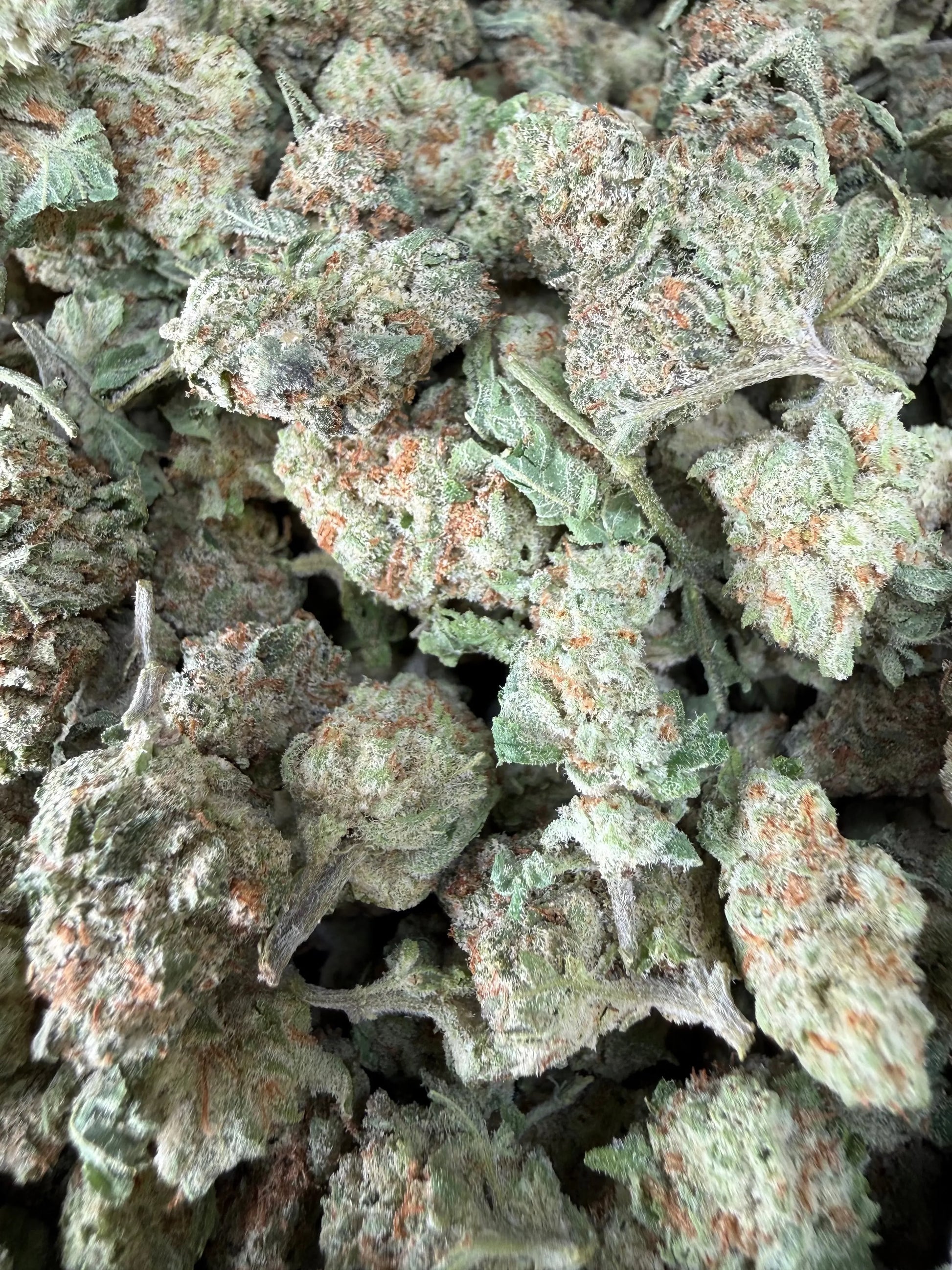 1 Pound - Cotton Candy Kush THCA Strain (Smalls) Frisco Labs