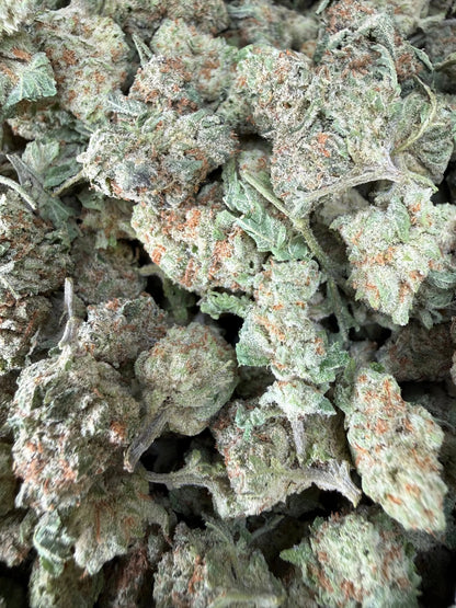 1 Pound - Cotton Candy Kush THCA Strain (Smalls) Frisco Labs