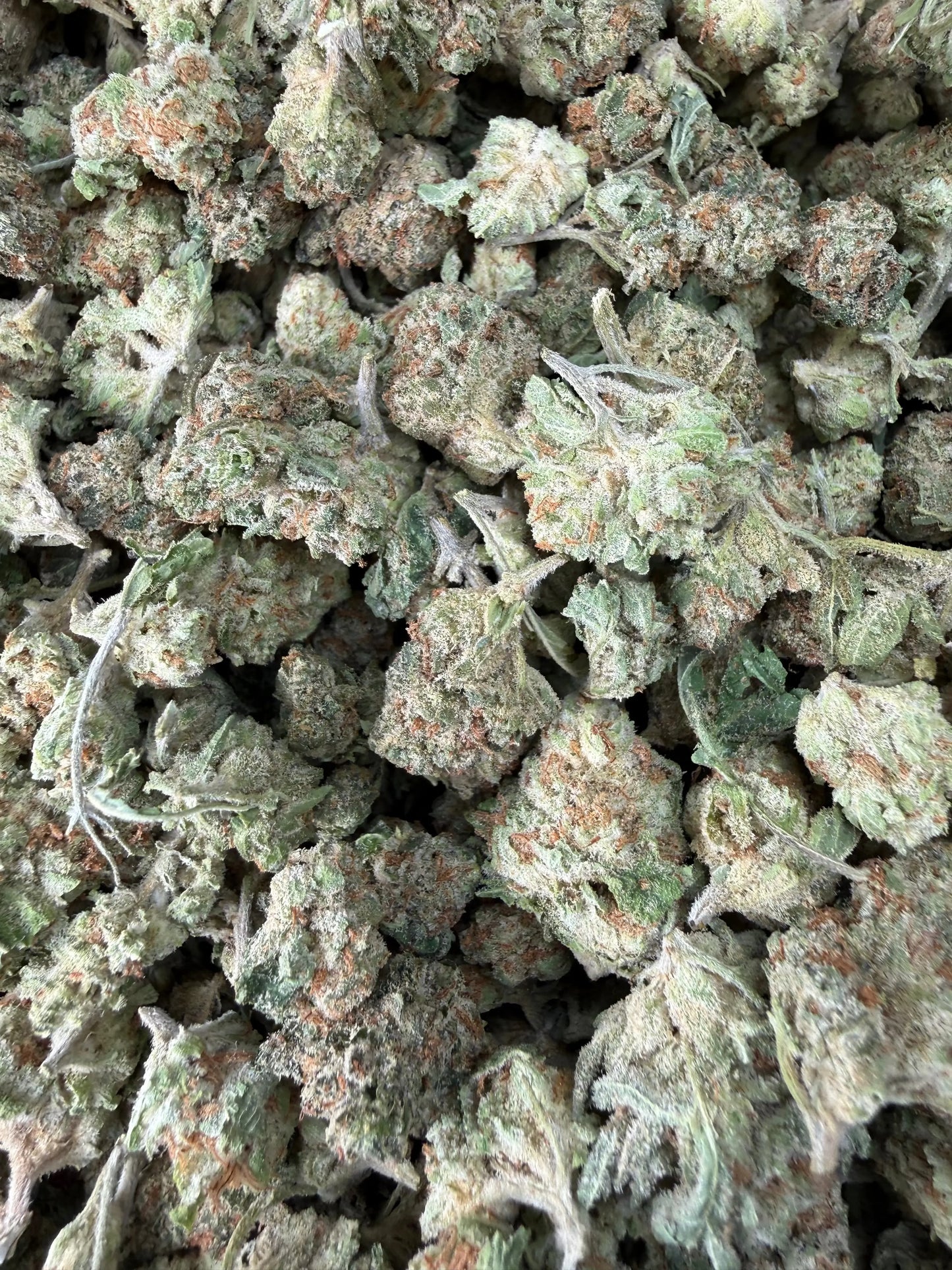 1 Pound - Cotton Candy Kush THCA Strain (Smalls) Frisco Labs