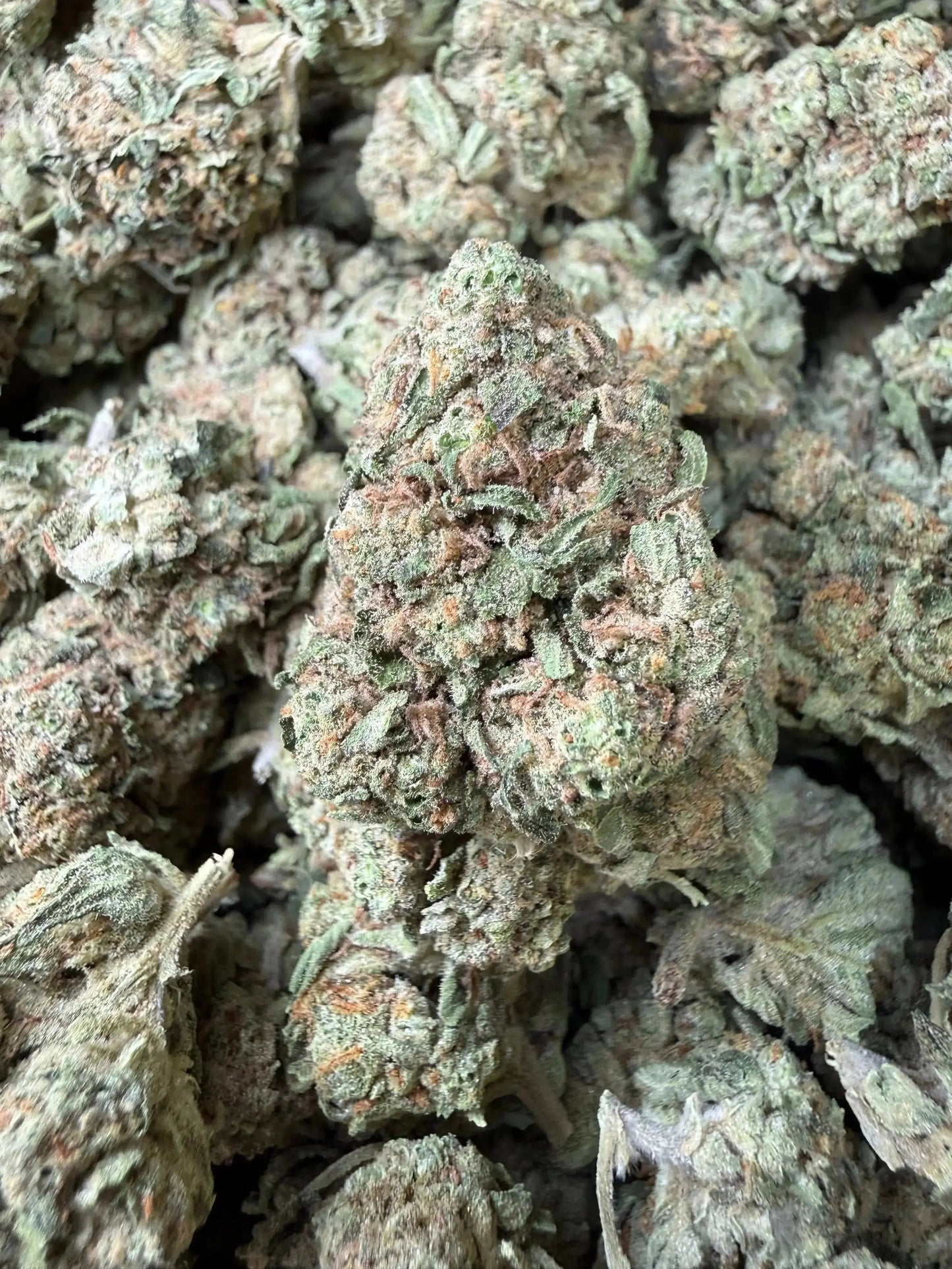 1 Pound -  Melted Strawberries Strain Frisco Labs