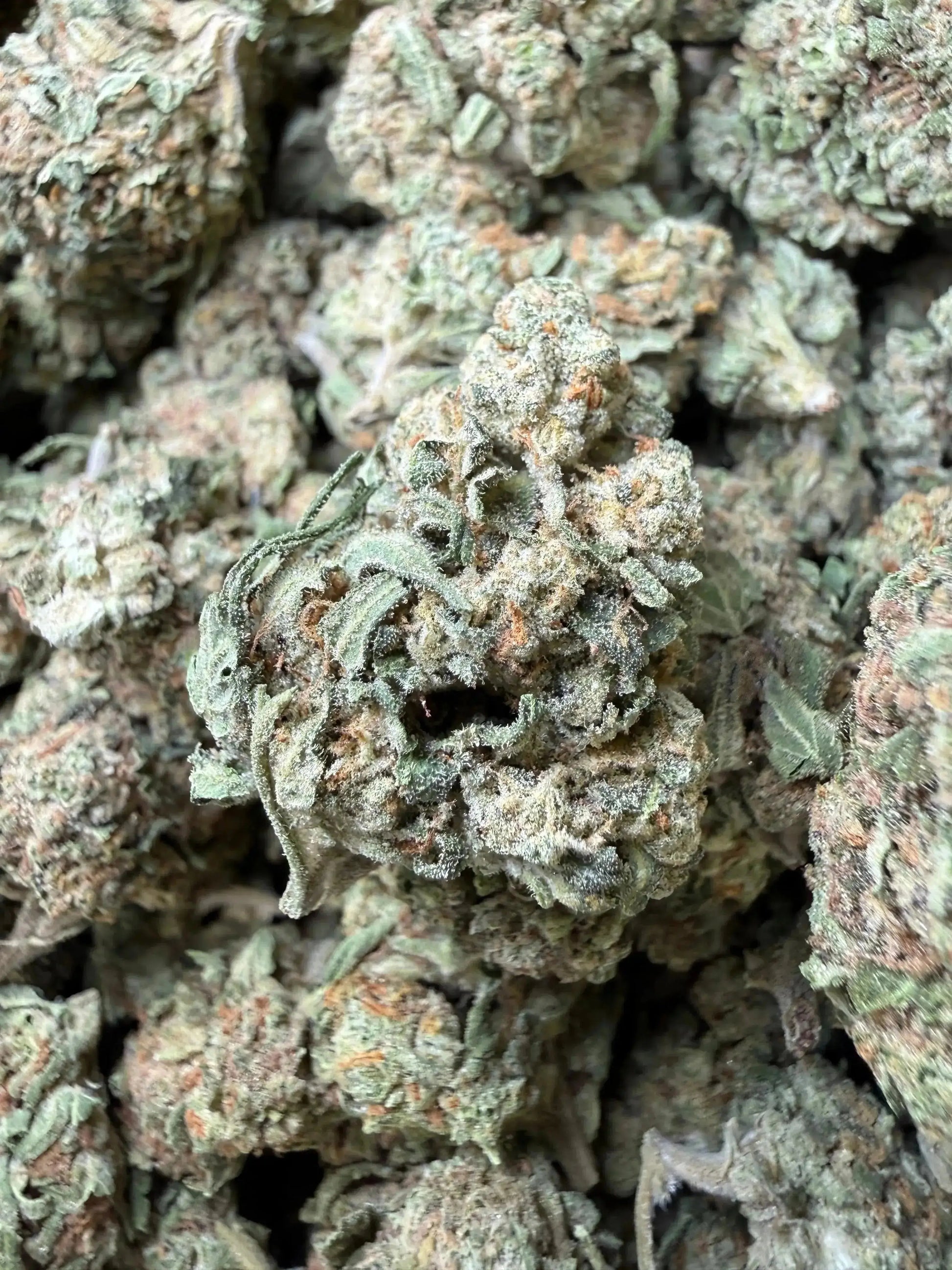 1 Pound -  Melted Strawberries Strain Frisco Labs