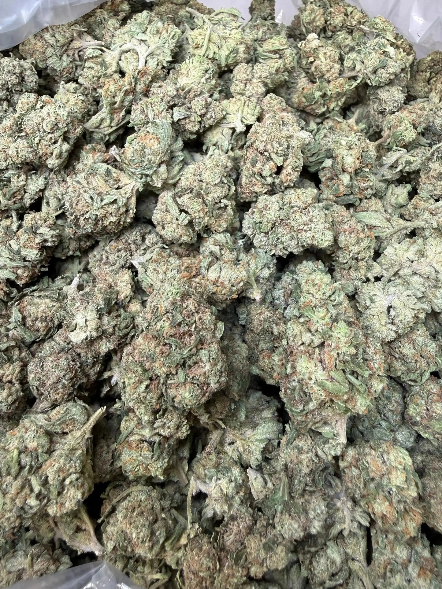 1 Pound -  Melted Strawberries Strain Frisco Labs