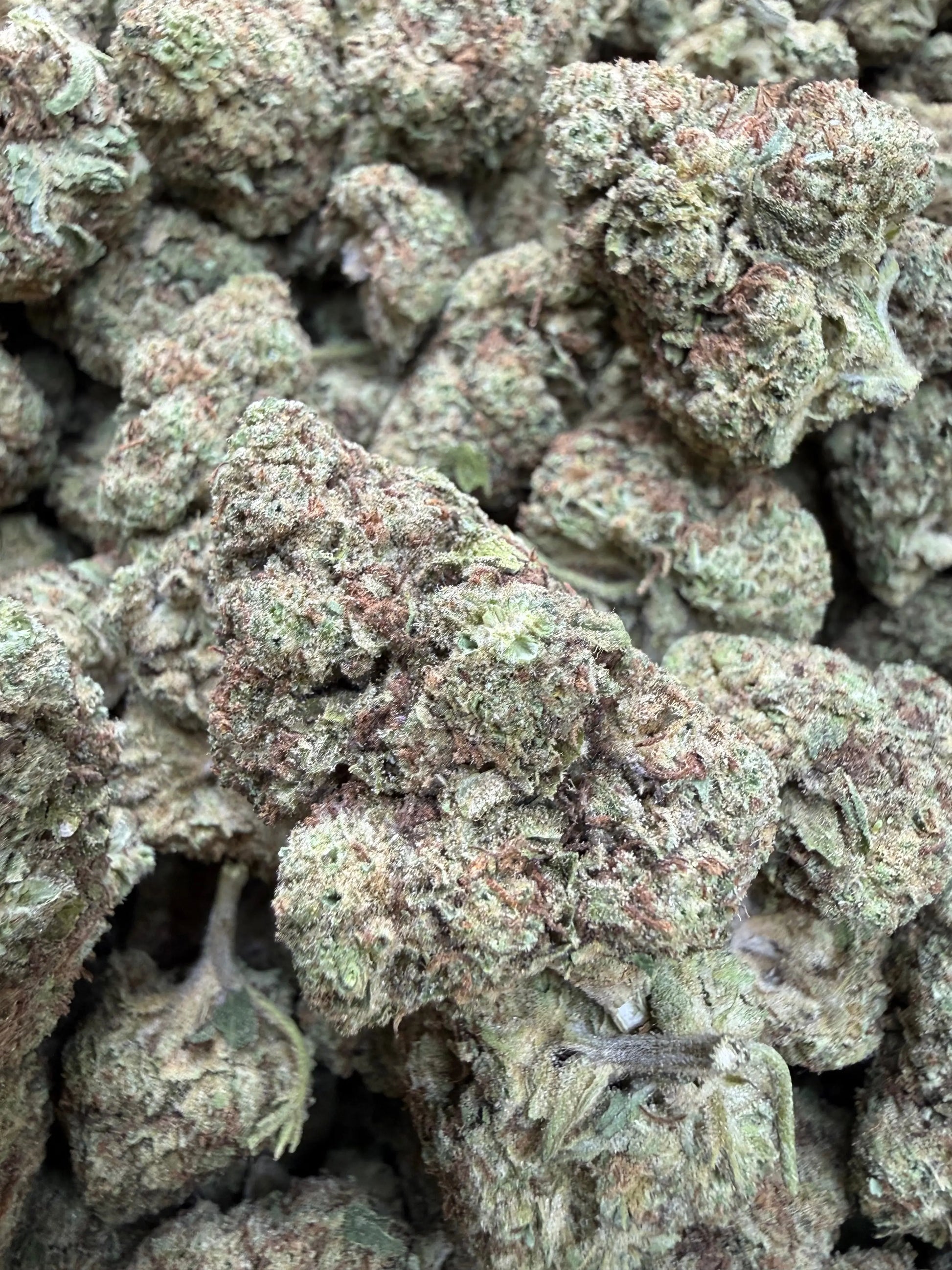 1 Pound -  Cream Pop Punch Strain Frisco Labs