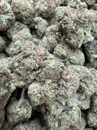 1 Pound -  Cream Pop Punch Strain Frisco Labs