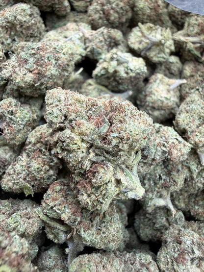 1 Pound -  Cream Pop Punch Strain Frisco Labs