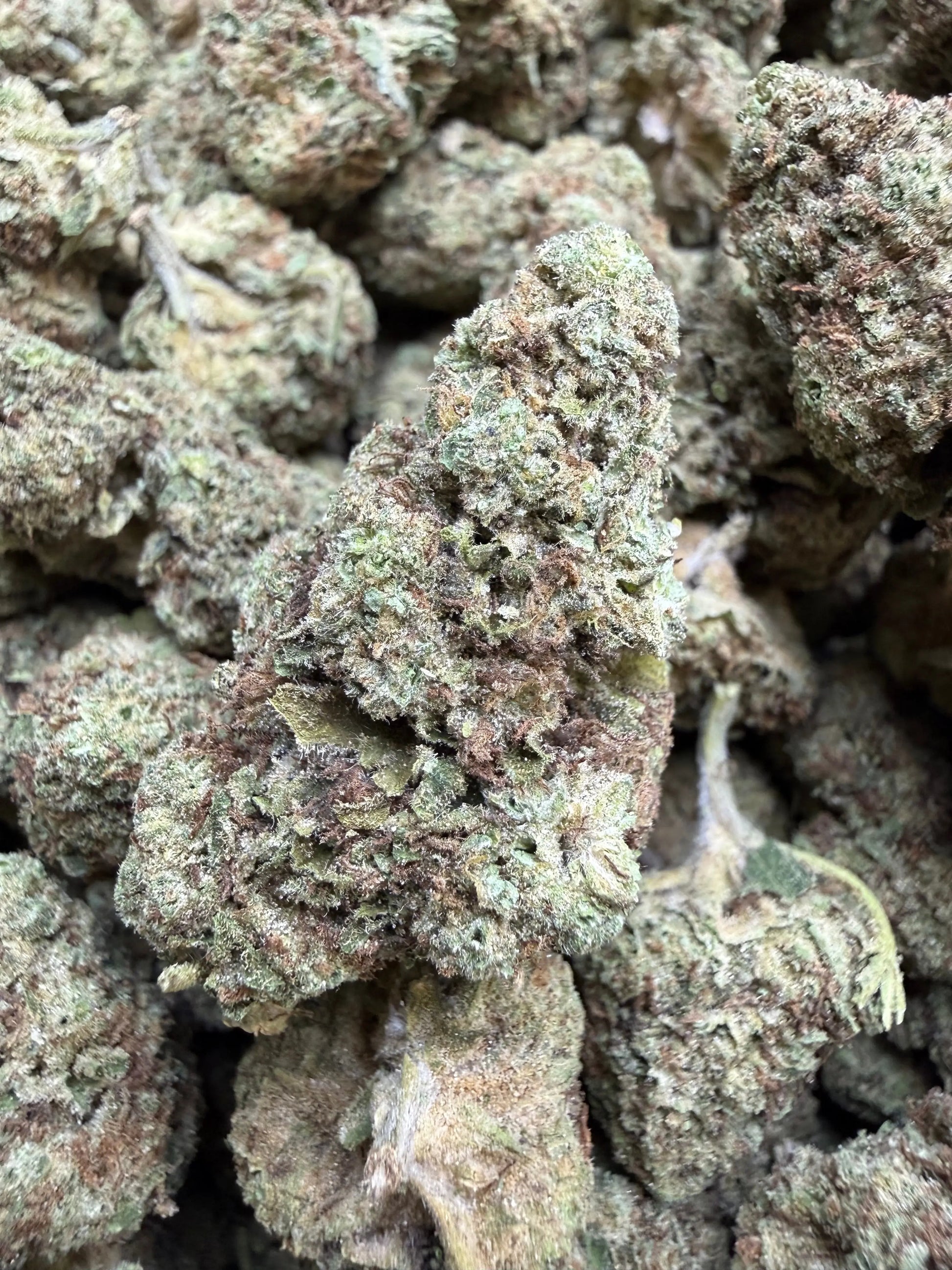 1 Pound -  Cream Pop Punch Strain Frisco Labs