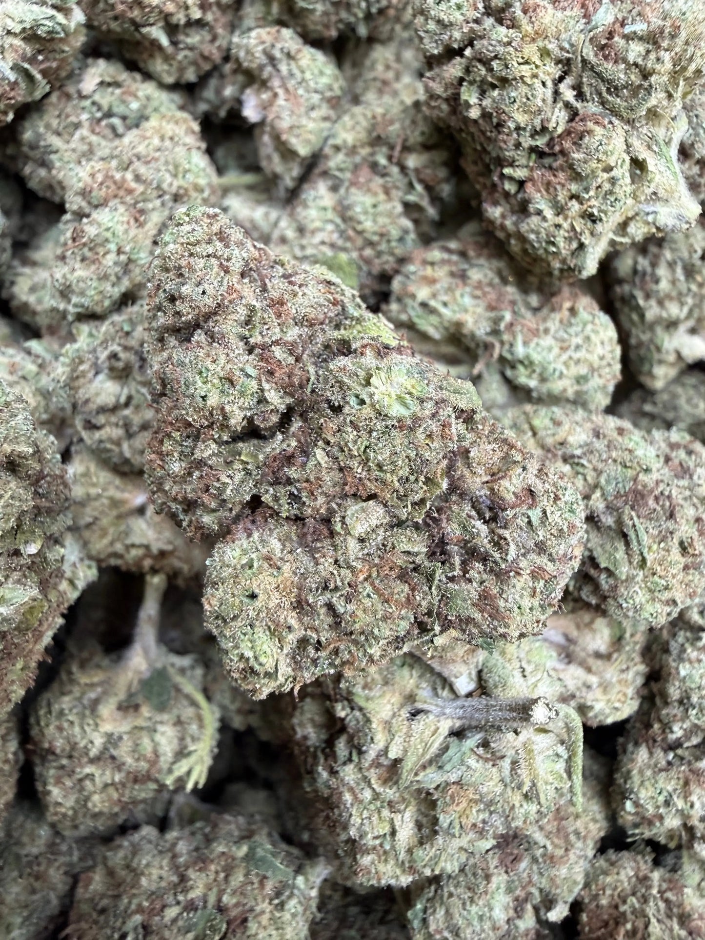 1 Pound -  Cream Pop Punch Strain Frisco Labs